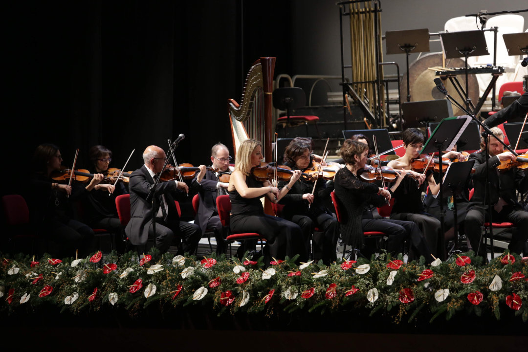 argira morabito violinista